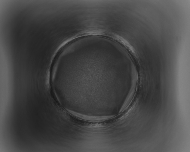 X0000100951174200807151330