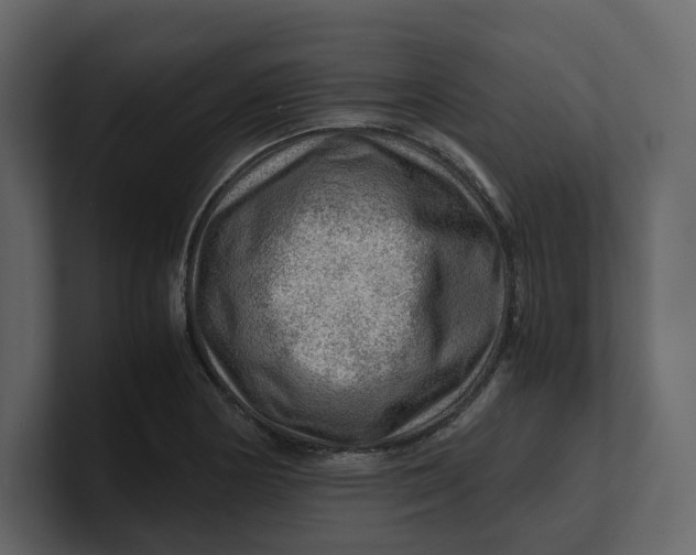 X0000100951178200807151330