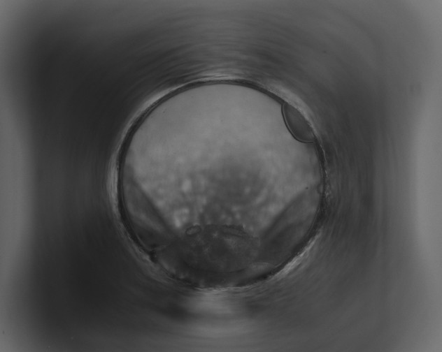 X0000100951179200807151330