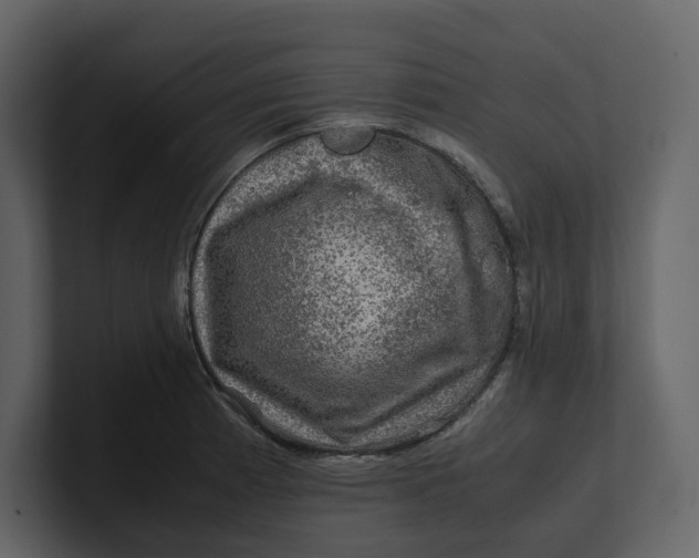 X0000100951185200807151330