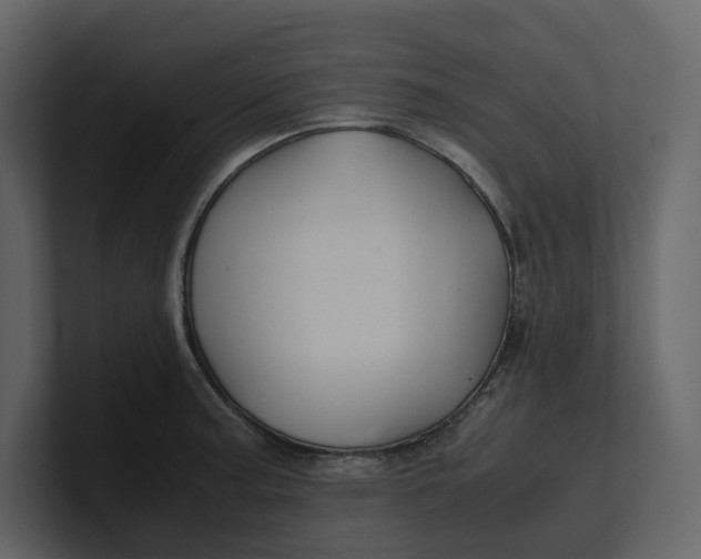 X0000100951187200807151330