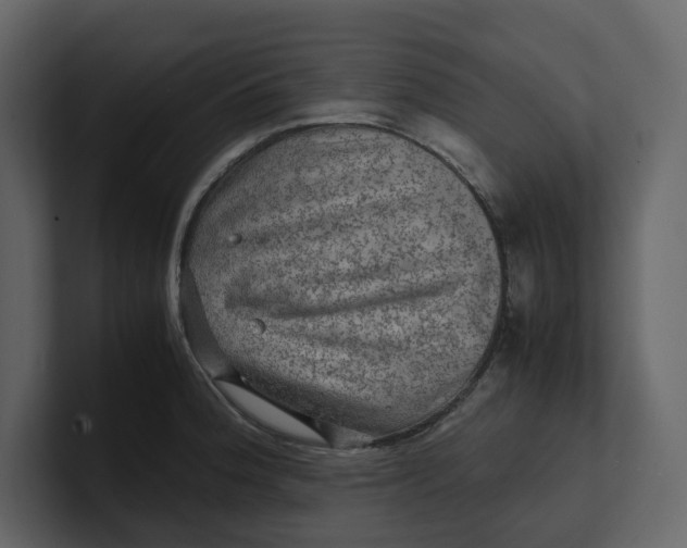 X0000100951188200807151330