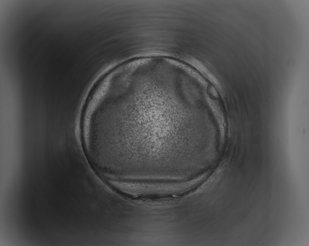 X0000100951189200807151330