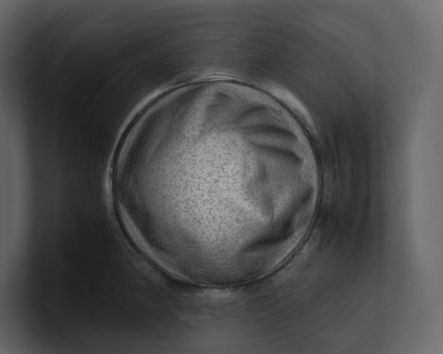 X0000100951190200807151330