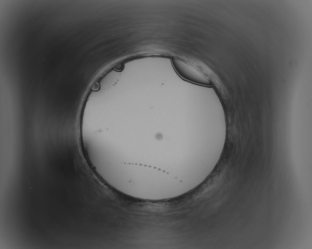 X0000100951191200807151330