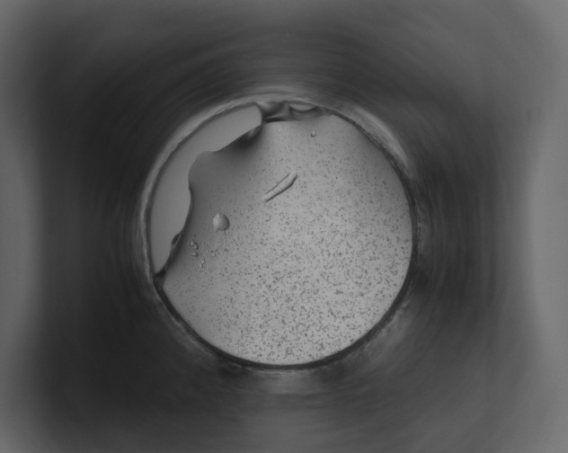 X0000100951192200807151330