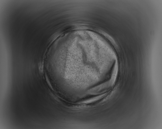 X0000100951193200807151330