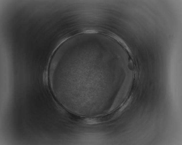 X0000100951194200807151330