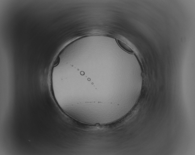 X0000100951195200807151330