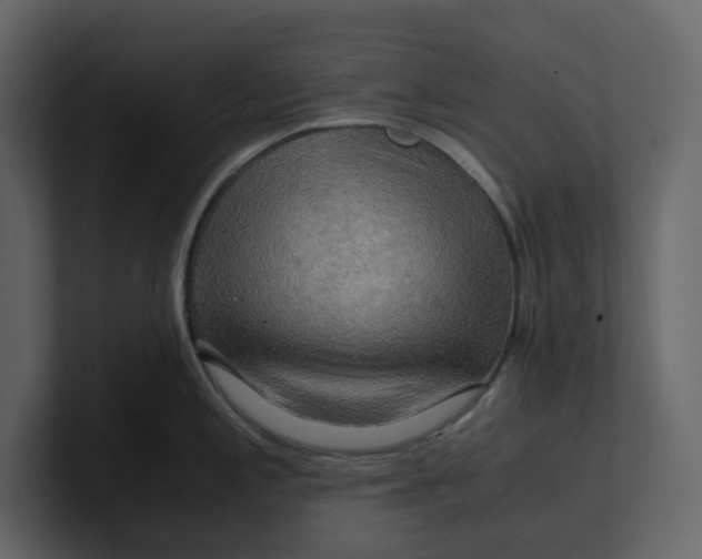 X0000100951197200807151330