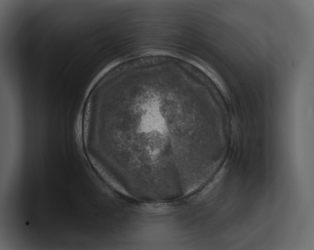 X0000100951198200807151330