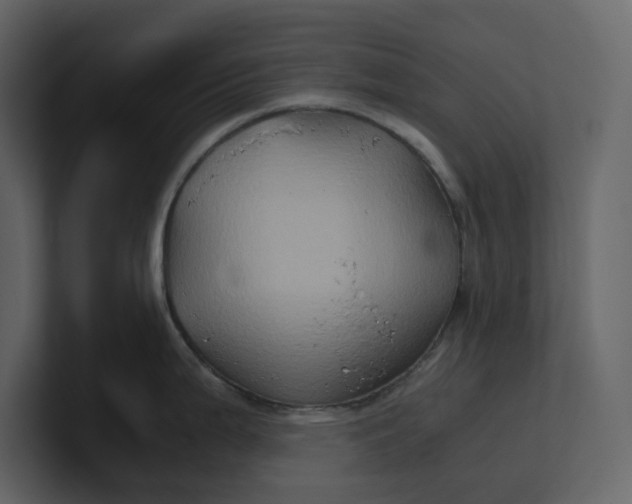 X0000100951199200807151330