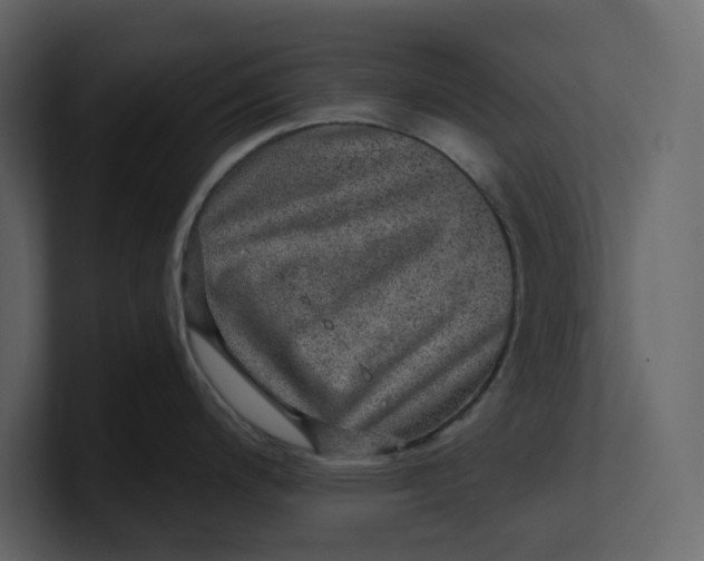 X0000100951200200807151330