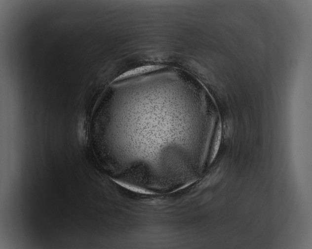 X0000100951202200807151329