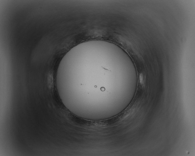 X0000100951203200807151329