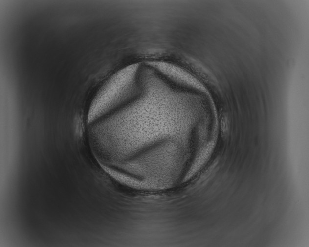 X0000100951204200807151329