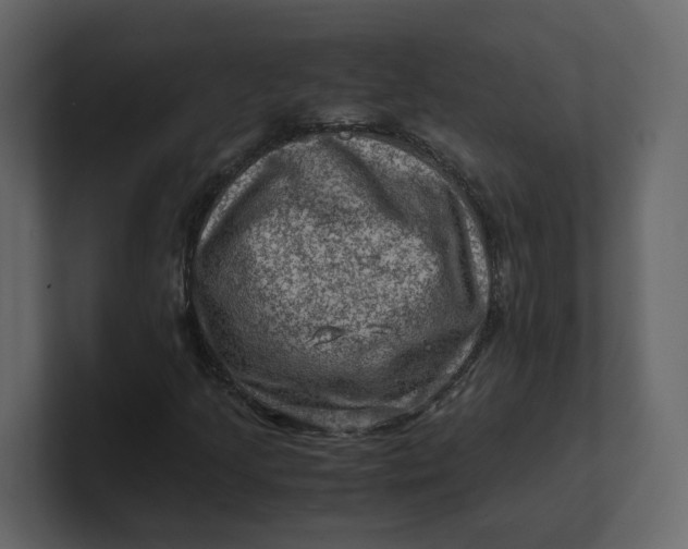 X0000100951205200807151329