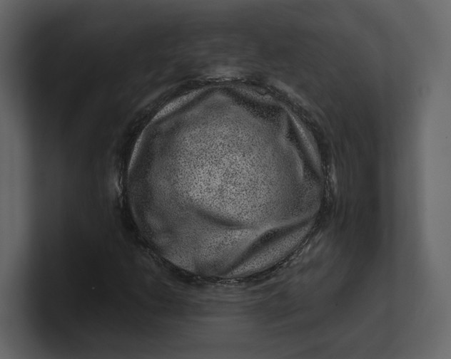 X0000100951206200807151329