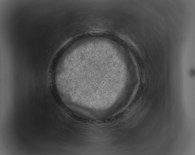 X0000100951208200807151329