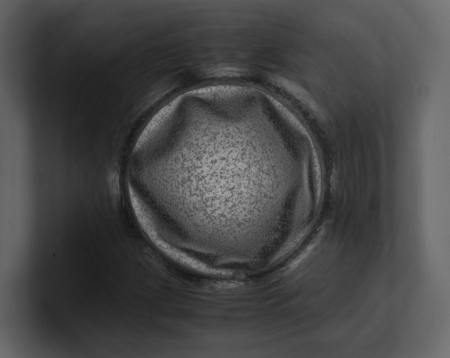 X0000100951209200807151329