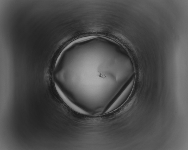 X0000100951210200807151329