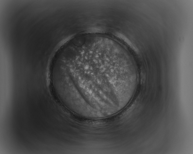 X0000100951213200807151330