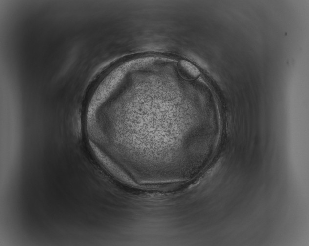 X0000100951214200807151330