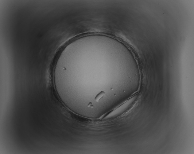 X0000100951215200807151330