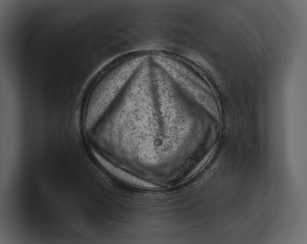 X0000100951216200807151330