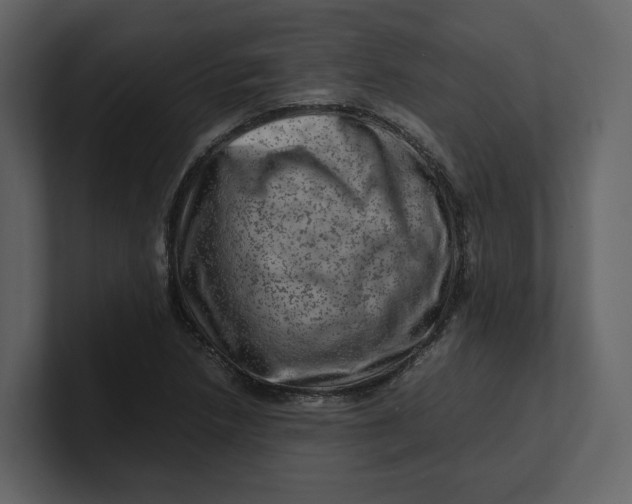 X0000100951218200807151330