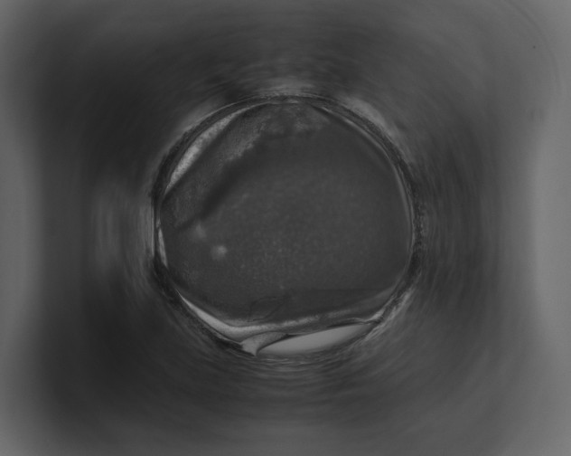 X0000100951219200807151330