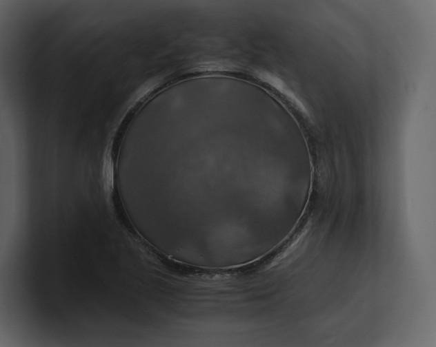 X0000100951221200807151330