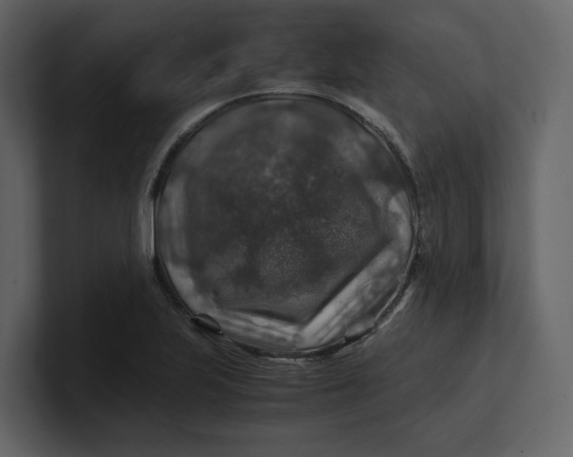 X0000100951223200807151330