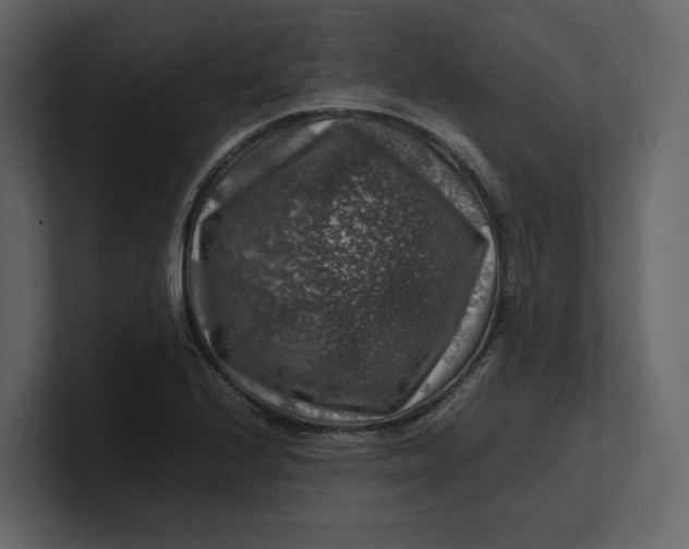 X0000100951224200807151330