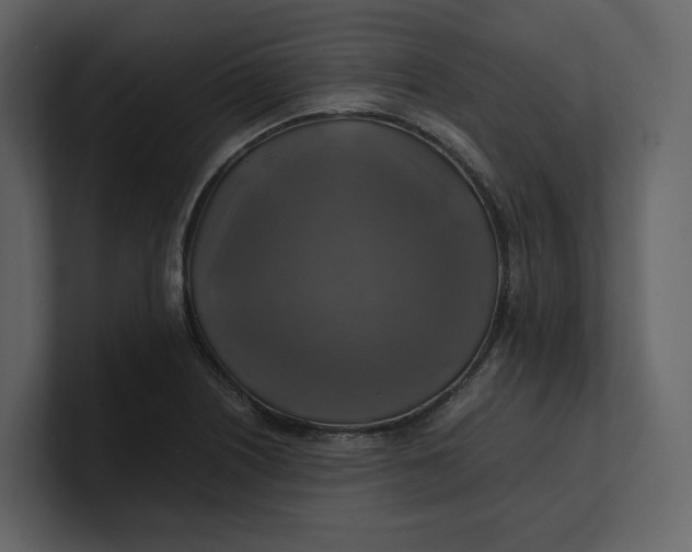 X0000100951226200807151330