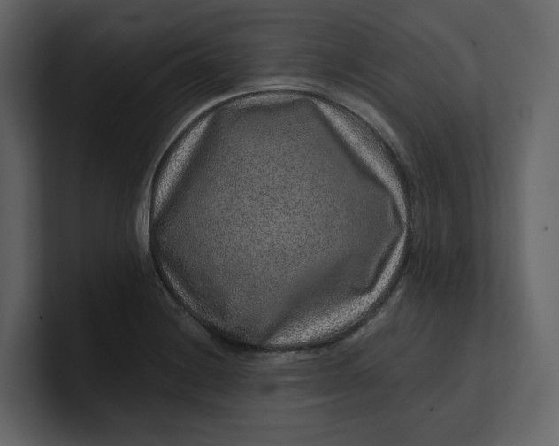 X0000100951228200807151330