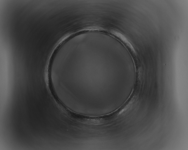 X0000100951229200807151330