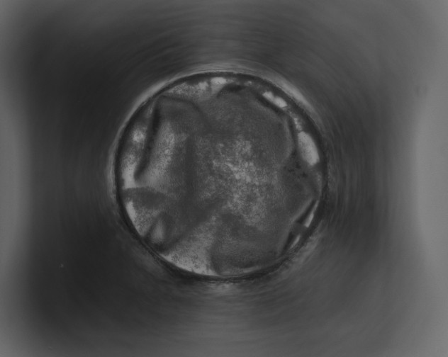 X0000100951230200807151330