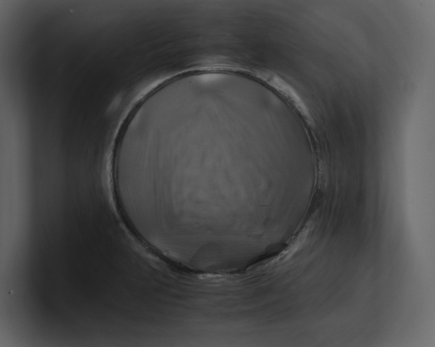 X0000100951231200807151330