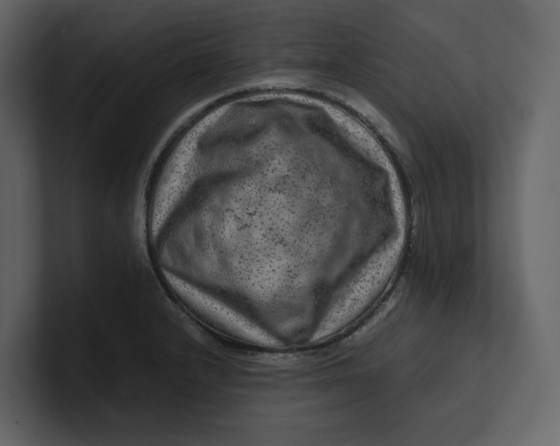 X0000100951232200807151330