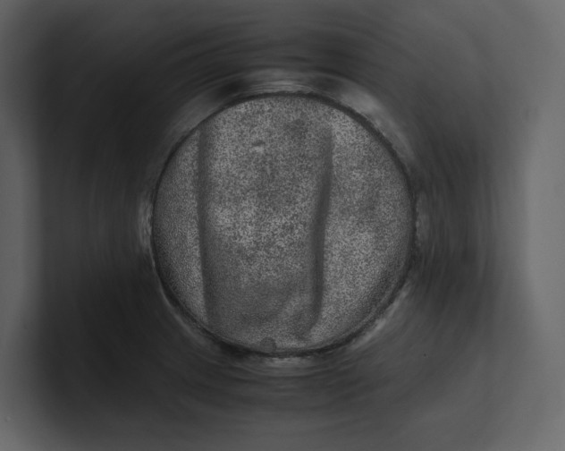 X0000100951233200807151330