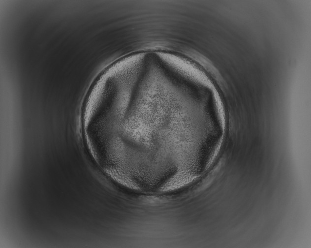 X0000100951234200807151330