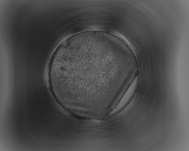 X0000100951235200807151330