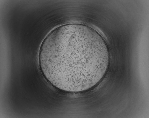 X0000100951236200807151330