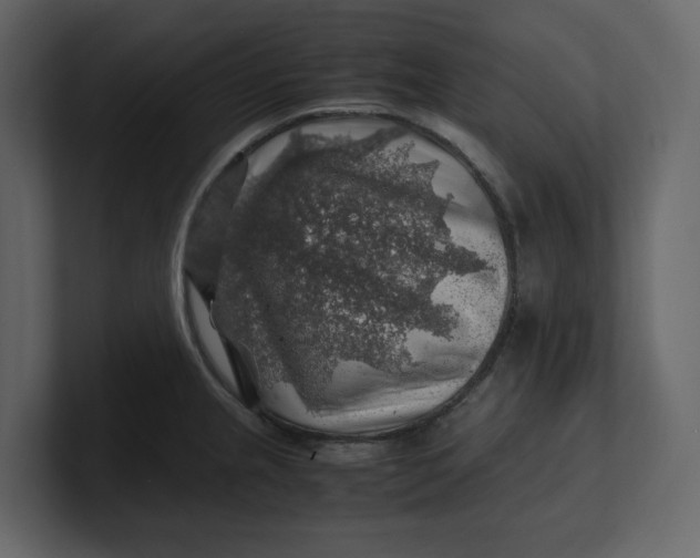 X0000100951237200807151330