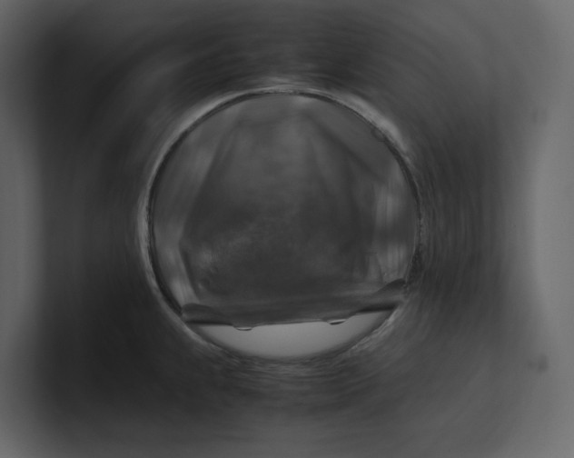 X0000100951239200807151330