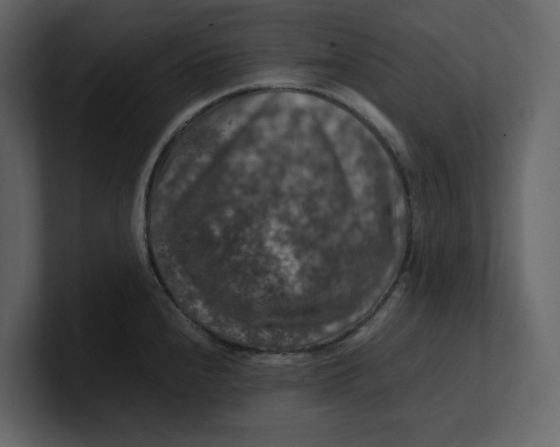 X0000100951240200807151330