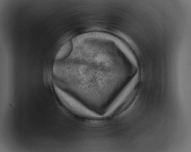 X0000100951241200807151330