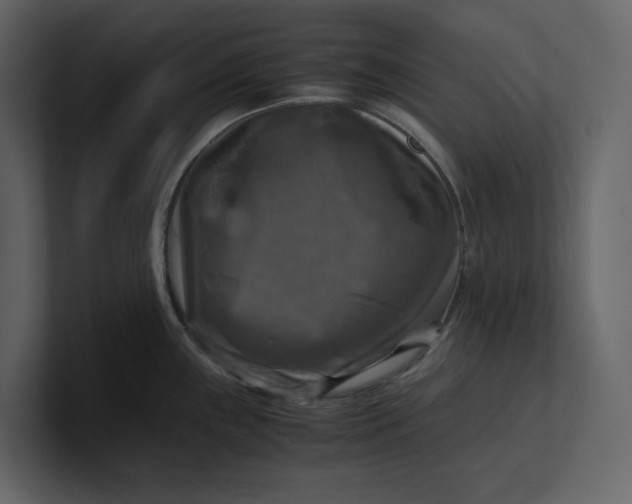 X0000100951243200807151330