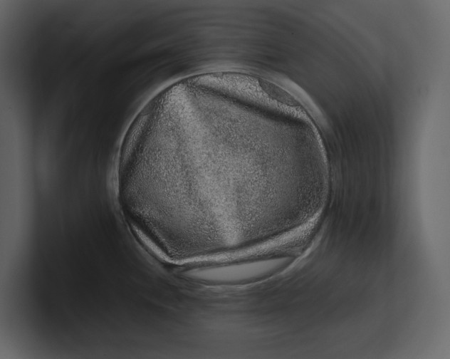 X0000100951244200807151330